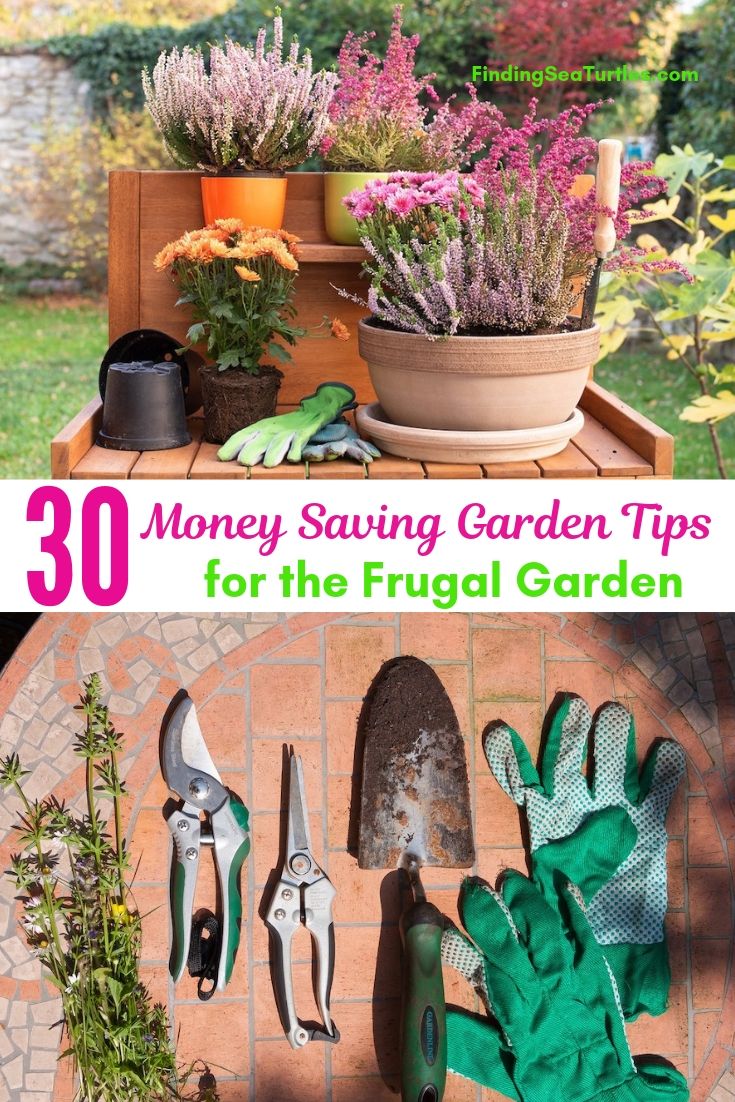 30 Money Saving Garden Tips For The Frugal Garden #SaveMoney #MoneySavingTips #SaveTime #GardenSavings #Garden #Gardening #Landscape #BudgetFriendly #FrugalLiving #FrugalGardening #ThriftyGardening