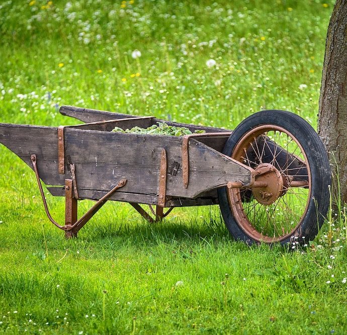 30 Money Saving Garden Tips for the Frugal Garden