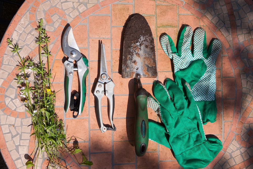 30 Money Saving Garden Tips for the Frugal Garden Garden Tools Gloves Scissors #SaveMoney #MoneySavingTips #SaveTime #GardenSavings #Garden #Gardening #Landscape #BudgetFriendly #FrugalLiving #FrugalGardening #ThriftyGardening