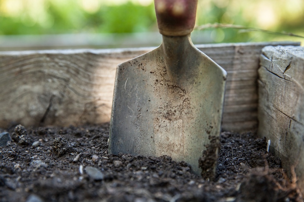 30 Money Saving Garden Tips for the Frugal Garden Garden Trowel #SaveMoney #MoneySavingTips #SaveTime #GardenSavings #Garden #Gardening #Landscape #BudgetFriendly #FrugalLiving #FrugalGardening #ThriftyGardening 