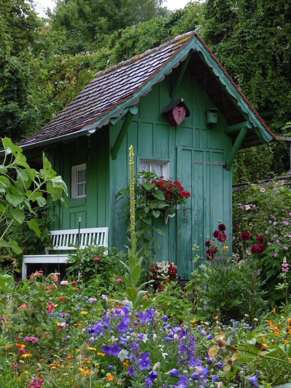 30 Money Saving Garden Tips for the Frugal Garden Green Garden Shed #SaveMoney #MoneySavingTips #SaveTime #GardenSavings #Garden #Gardening #Landscape #BudgetFriendly #FrugalLiving #FrugalGardening #ThriftyGardening