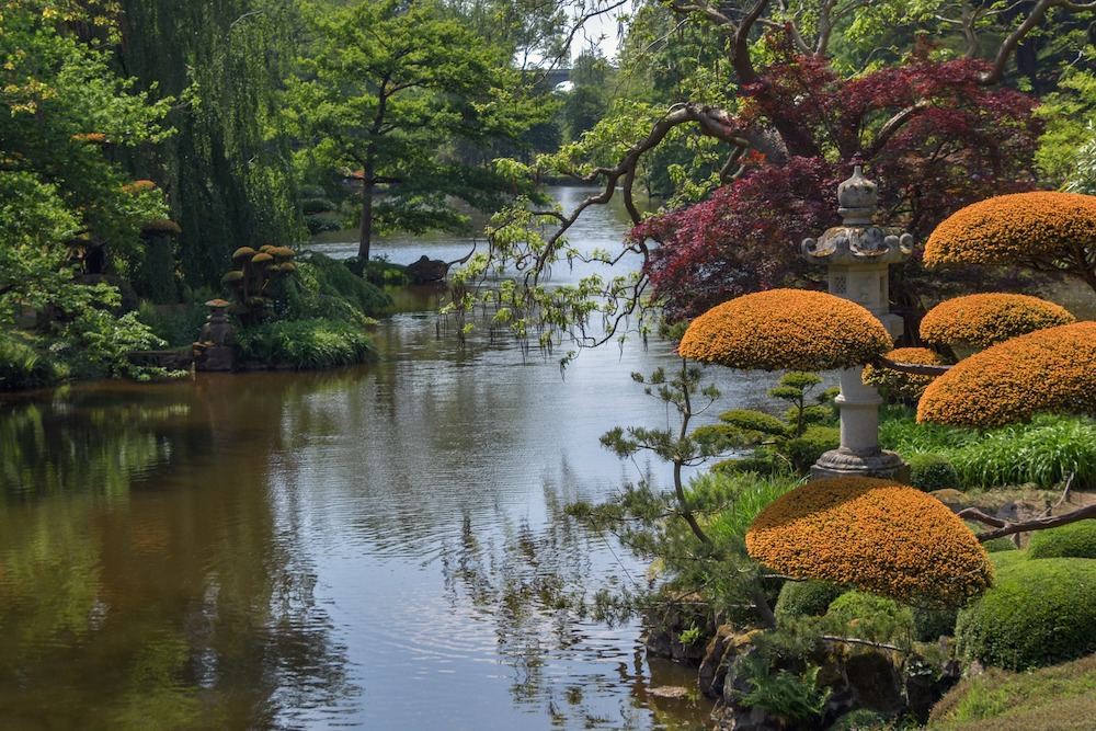 30 Money Saving Garden Tips for the Frugal Garden Japanese Garden Scape #SaveMoney #MoneySavingTips #SaveTime #GardenSavings #Garden #Gardening #Landscape #BudgetFriendly #FrugalLiving #FrugalGardening #ThriftyGardening