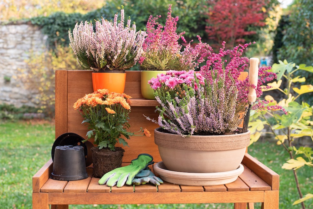 30 Money Saving Garden Tips for the Frugal Garden Potting Table #SaveMoney #MoneySavingTips #SaveTime #GardenSavings #Garden #Gardening #Landscape #BudgetFriendly #FrugalLiving #FrugalGardening #ThriftyGardening