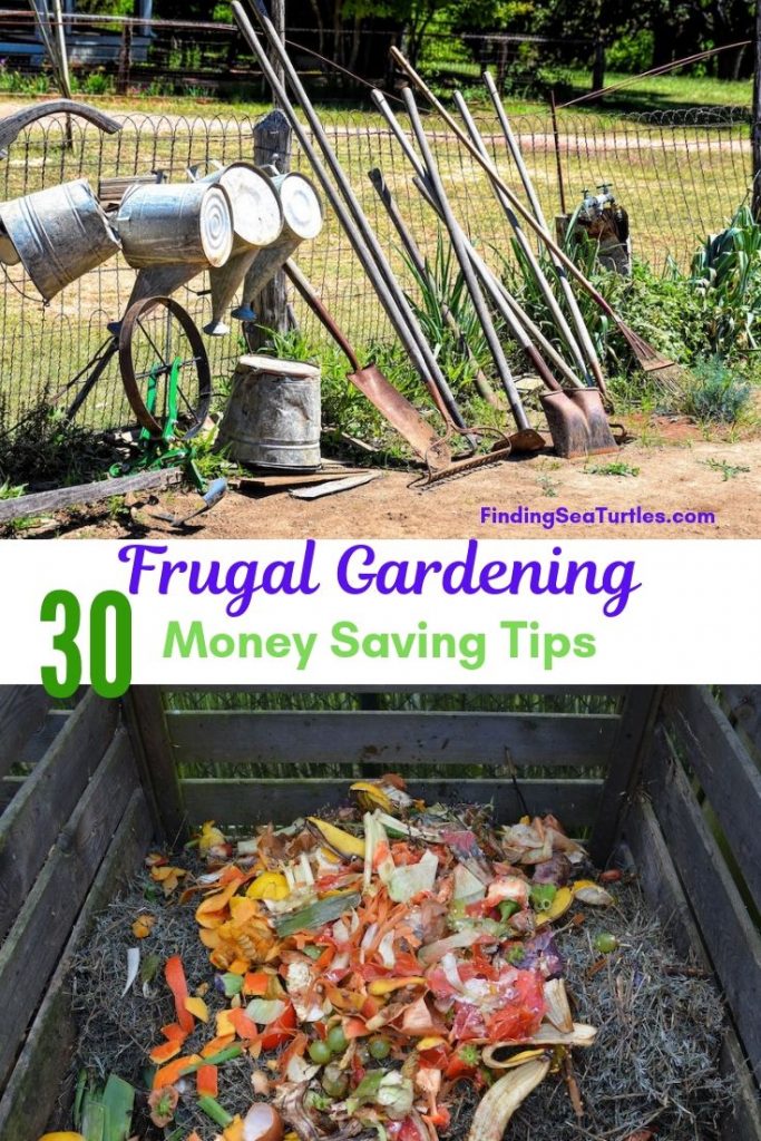 30 Money Saving Garden Tips for the Frugal Garden
