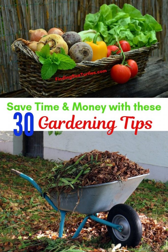 30 Money Saving Garden Tips for the Frugal Garden