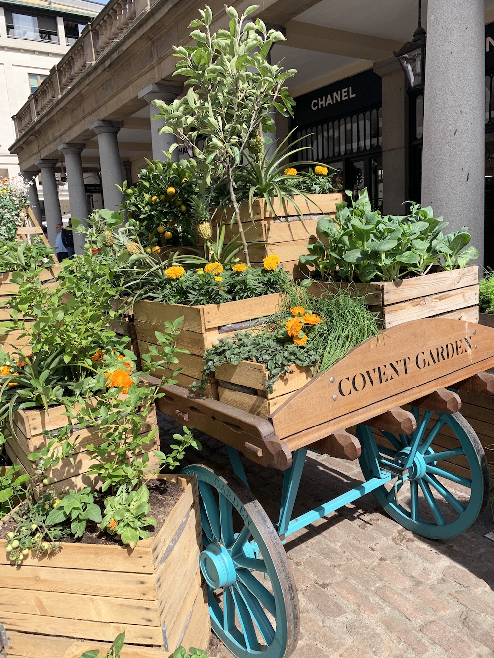 Crate Gardening for Small Spaces Covent Garden Wagon With Crates #Garden #Gardening #SmallSpace #SmallSpaceGardening #ContainerGardening #VegetableGarden #HerbGarden #PorchGarden #PatioGarden 