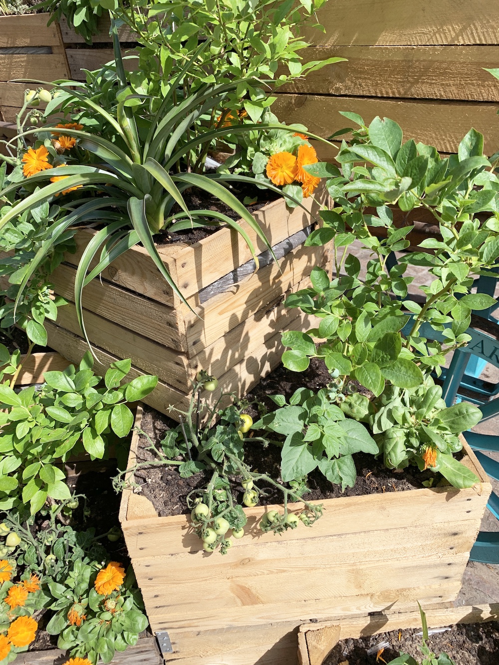 Crate Gardening for Small Spaces Crate Gardening #Garden #Gardening #SmallSpace #SmallSpaceGardening #ContainerGardening #VegetableGarden #HerbGarden #PorchGarden #PatioGarden 