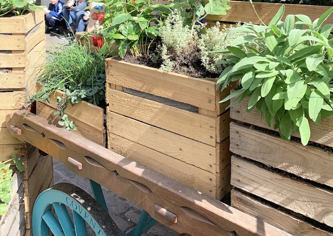 Crate Gardening for Small Spaces Side Wagon View Of Herbs #Garden #Gardening #SmallSpace #SmallSpaceGardening #ContainerGardening #VegetableGarden #HerbGarden #PorchGarden #PatioGarden 