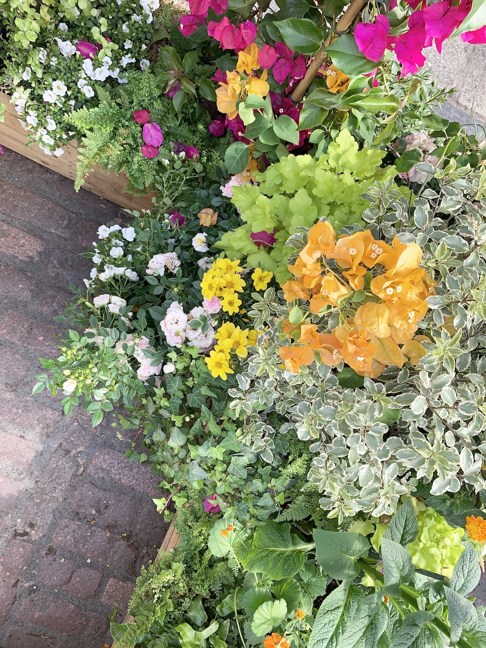 Crate Gardening for Small Spaces Flower Crate Gardening #Garden #Gardening #SmallSpace #SmallSpaceGardening #ContainerGardening #FlowerGarden #PorchGarden #PatioGarden 