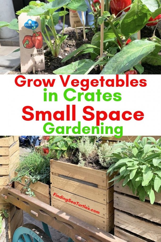 Crate Gardening for Small Spaces
