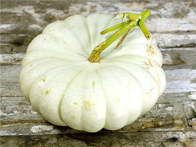 Flat White Boer Squash #Pumpkin #Pumpkins #GrowPumpkins #Garden #Gardening #FallDecor #FallGarden #FallSquash #AutumnDecor #FallHarvest #Halloween