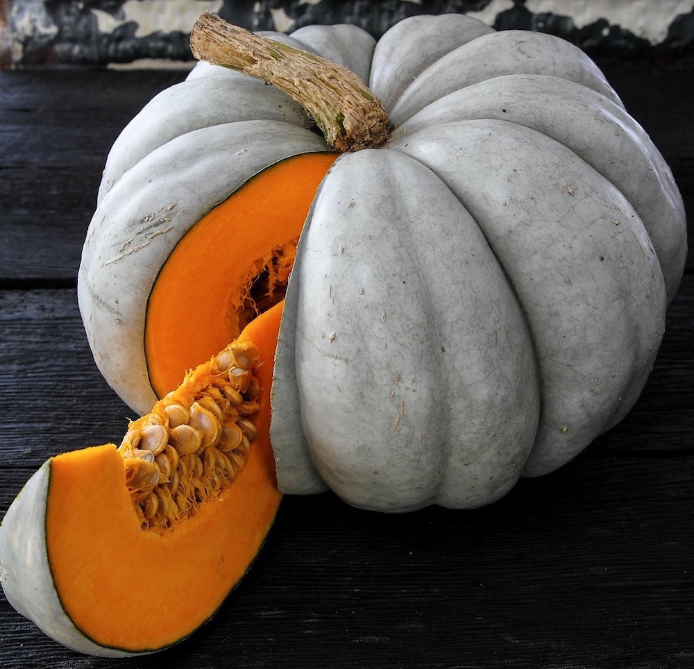 52 Types of Pumpkins to Eat, Decorate, and Display Jarrahdale Pumpkin #Pumpkin #Pumpkins #GrowPumpkins #Garden #Gardening #FallDecor #FallGarden #FallSquash #AutumnDecor #FallHarvest #Halloween