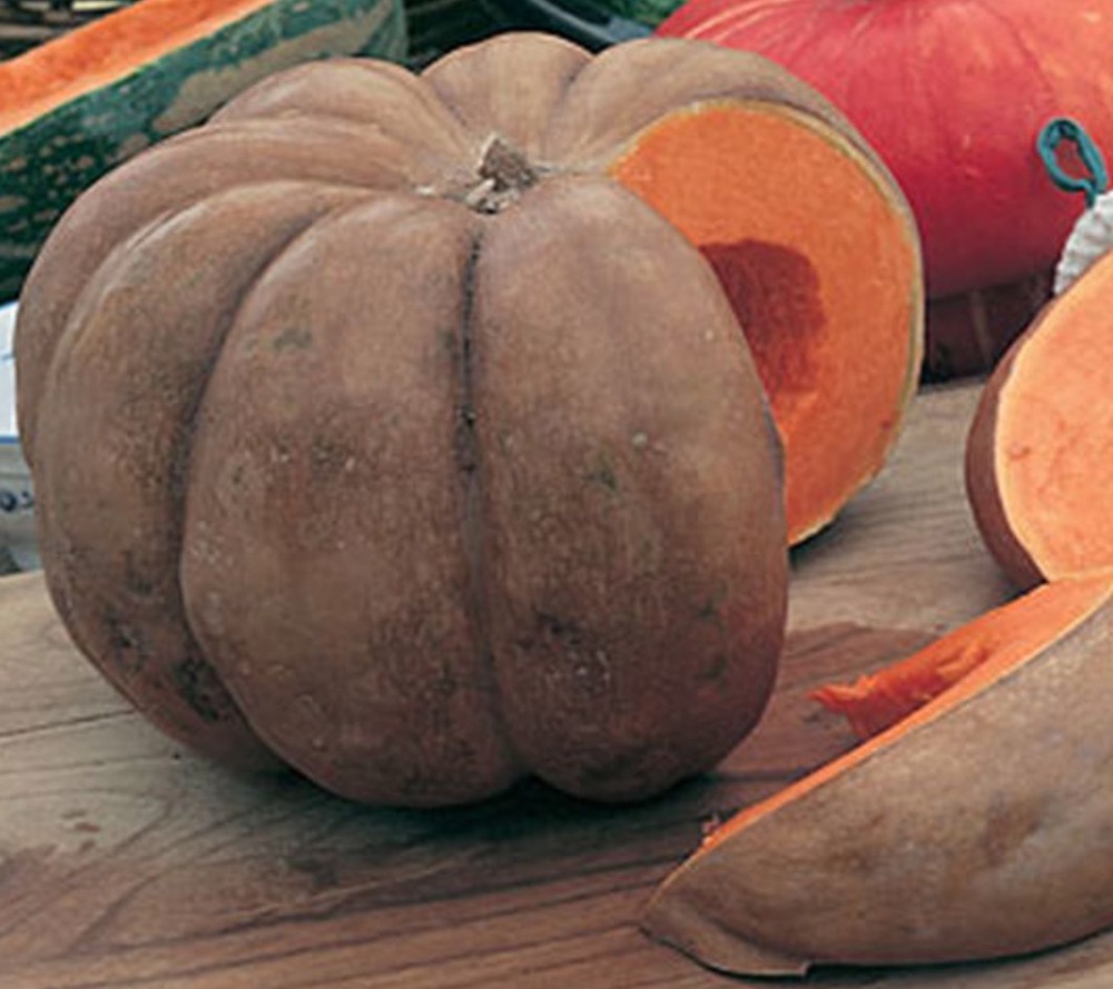 52 Types of Pumpkins to Eat, Decorate, and Display Musquee De Provence Pumpkin #Pumpkin #Pumpkins #GrowPumpkins #Garden #Gardening #FallDecor #FallGarden #FallSquash #AutumnDecor #FallHarvest #Halloween