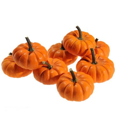 52 Types of Pumpkins to Eat, Decorate, and Display Pumpkin Jill Be Little #Pumpkin #Pumpkins #GrowPumpkins #Garden #Gardening #FallDecor #FallGarden #FallSquash #AutumnDecor #FallHarvest #Halloween