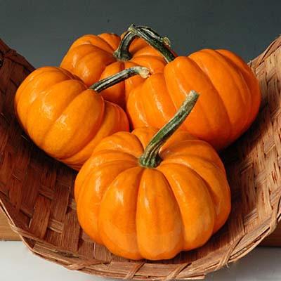 52 Types of Pumpkins to Eat, Decorate, and Display Pumpkin Orangita #Pumpkin #Pumpkins #GrowPumpkins #Garden #Gardening #FallDecor #FallGarden #FallSquash #AutumnDecor #FallHarvest #Halloween