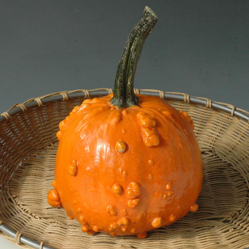 52 Types of Pumpkins to Eat, Decorate, and Display Pumpkin Toad #Pumpkin #Pumpkins #GrowPumpkins #Garden #Gardening #FallDecor #FallGarden #FallSquash #AutumnDecor #FallHarvest #Halloween