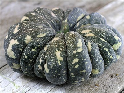 52 Types of Pumpkins to Eat, Decorate, and Display Thai Rai Kaw Tok Pumpkin #Pumpkin #Pumpkins #GrowPumpkins #Garden #Gardening #FallDecor #FallGarden #FallSquash #AutumnDecor #FallHarvest #Halloween