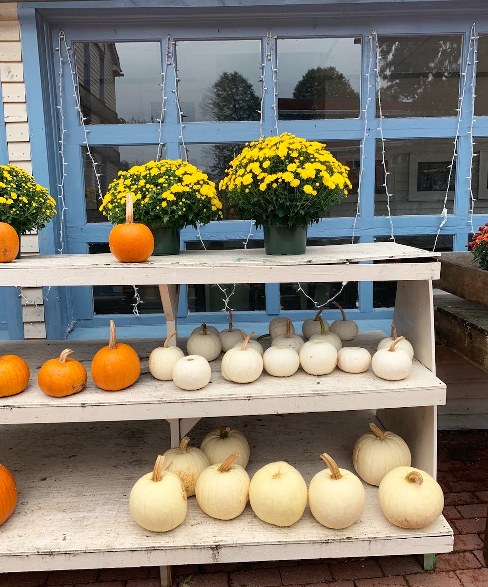 Autumn Decor Ideas Comstock Ferre and Co Old Wethersfield #DIY #DIYDecor #ThanksgivingCenterpiece #FallCenterpiece #FallDecor #Thanksgiving #ThanksgivingTable #Centerpiece #AutumnCenterpiece