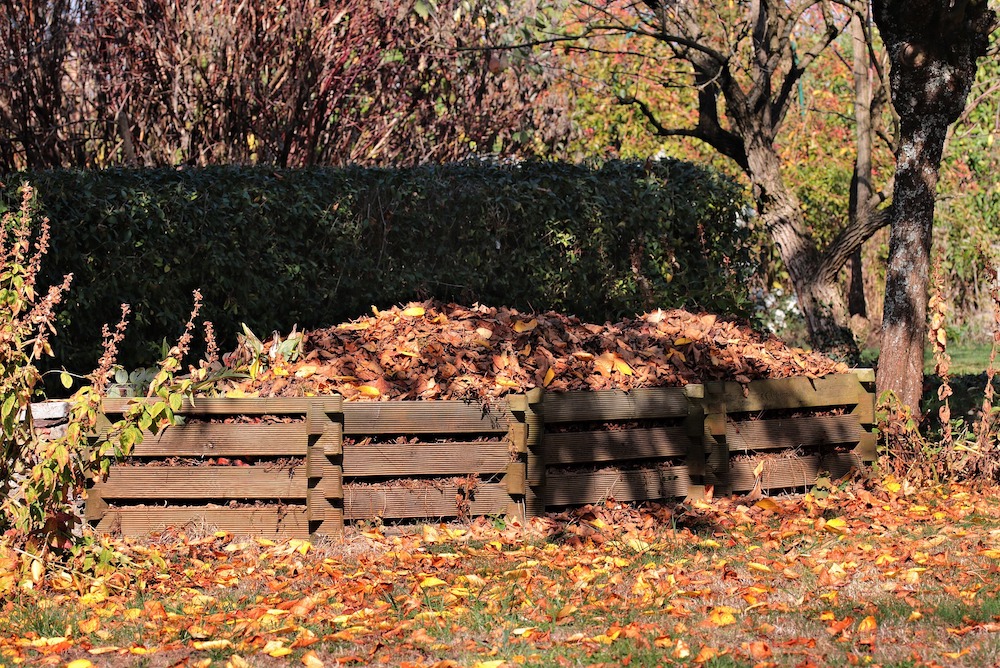 Make Leaf Mold Autumn Leave Mold Bins