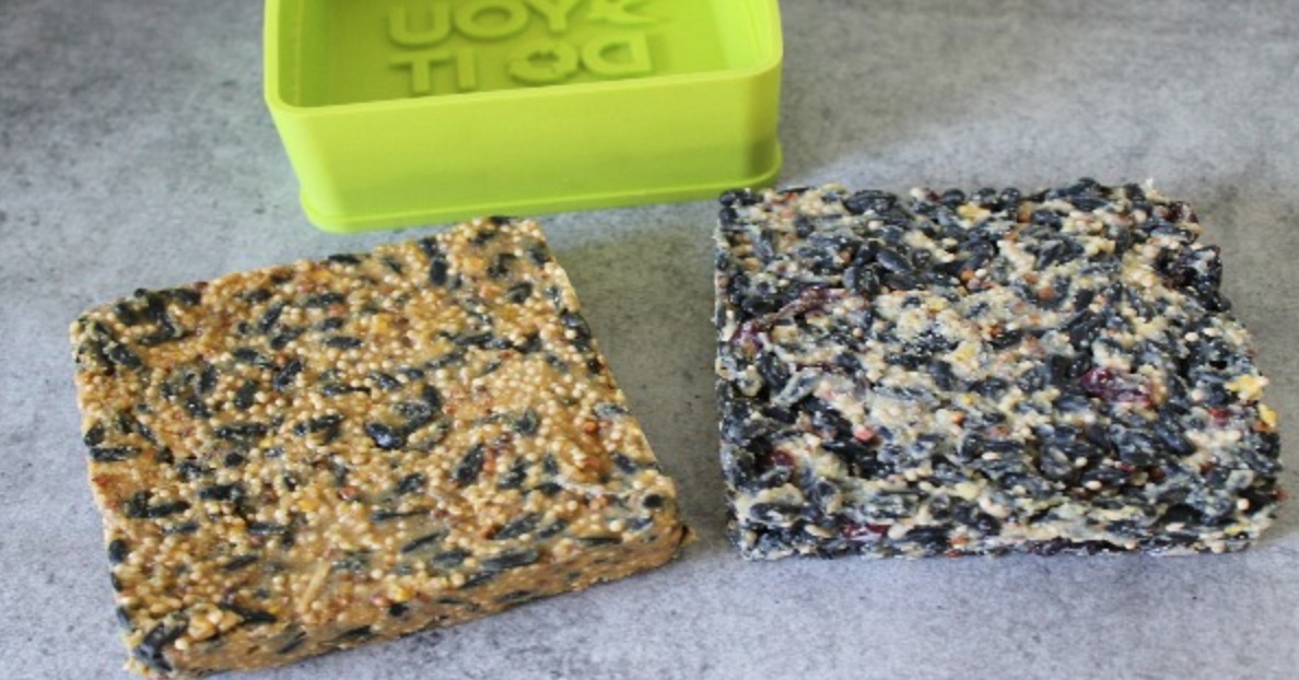 DIY Creative Cranberry Birdseed Cake (on right) by Bev at Make Your Own Zone #FeedTheBirds #BirdFood #FeedWildBirds #Gardening #Wildbirds #DIY #DIYBirdFood #BirdCakes