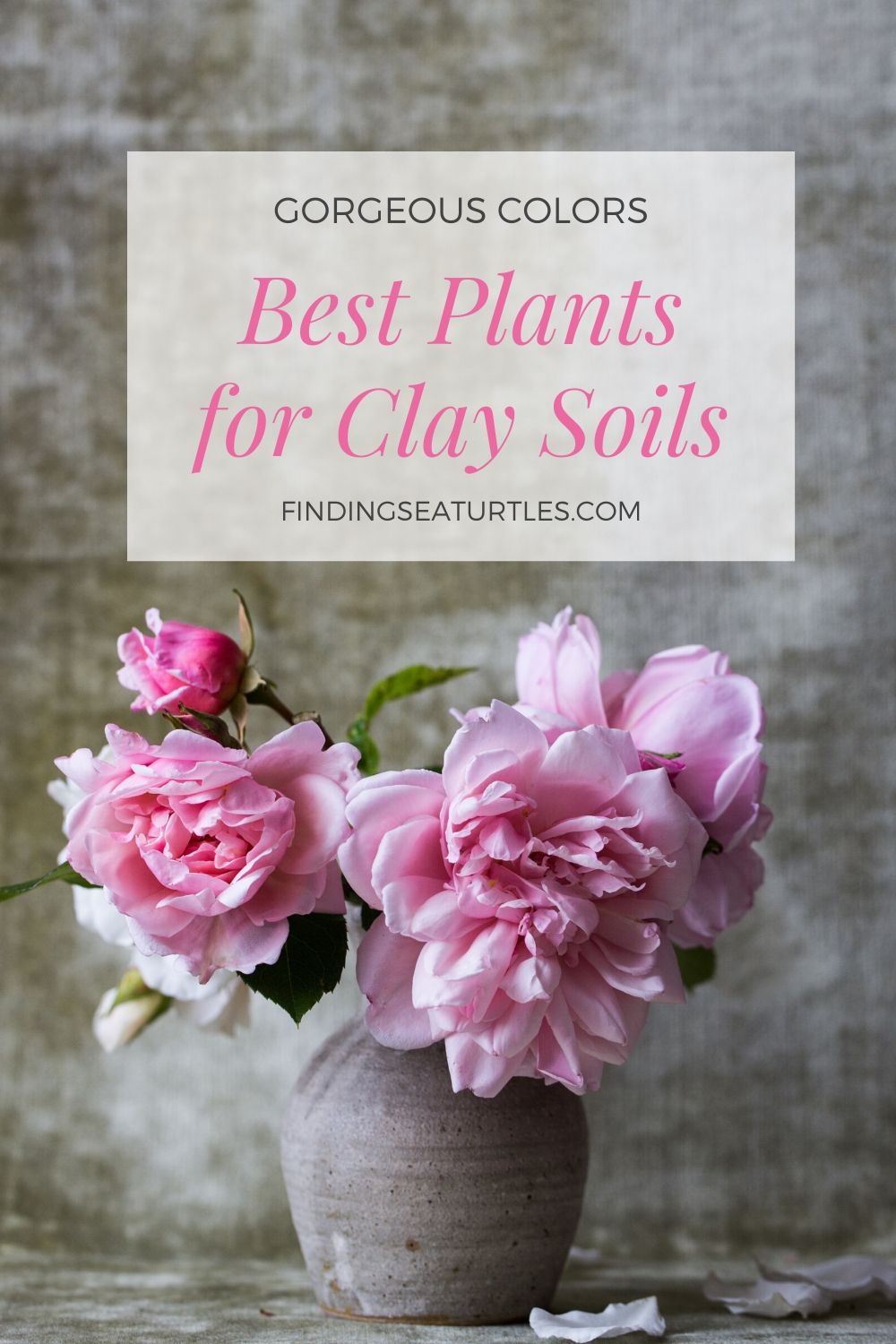 Gorgeous Colors Best Plants for Clay Soils #Perennials #ClayTolerantPerennials #PlantsThatThriveinClay #Gardening #ClaySoil #TolerantofClaySoils 