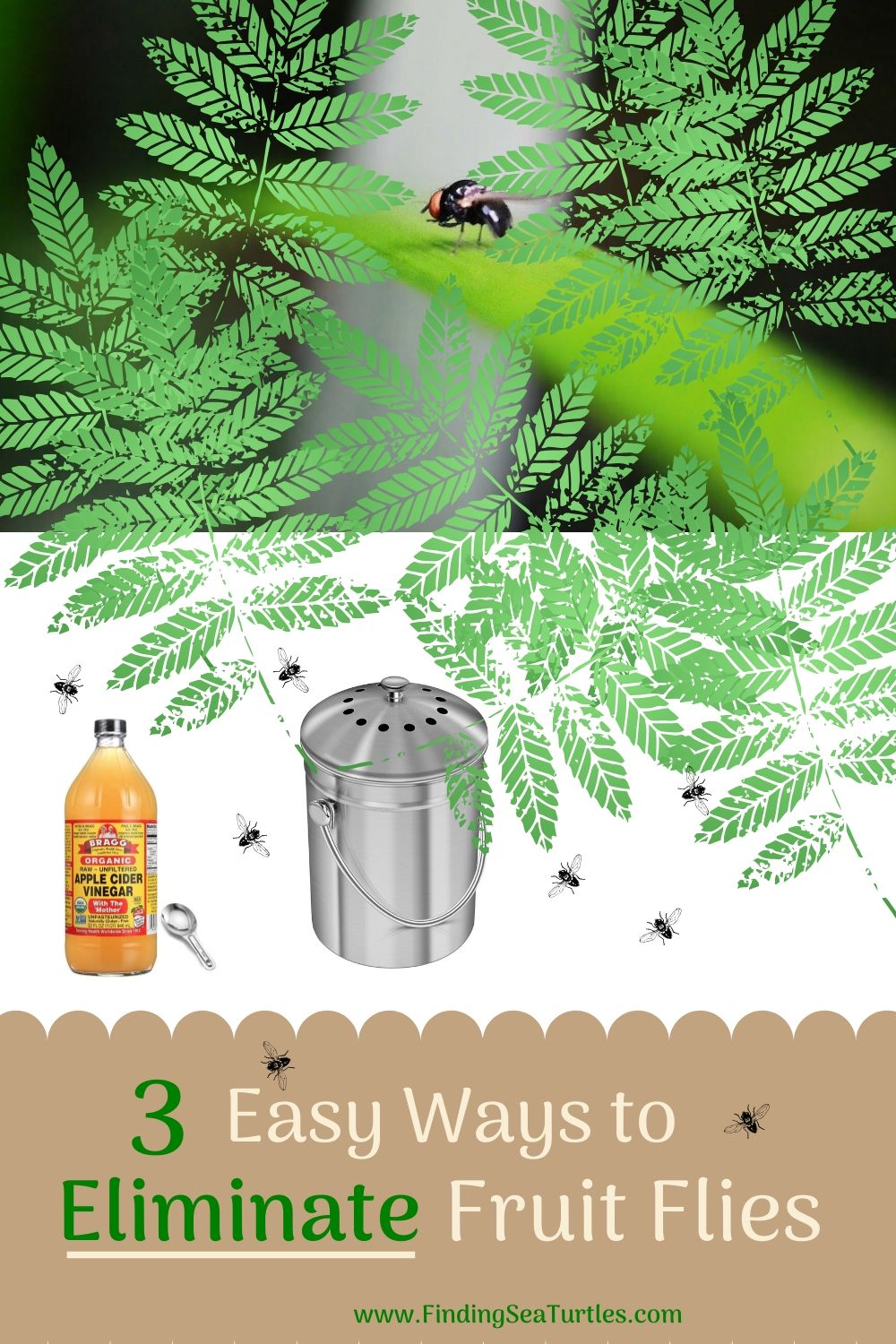 How to Get Rid of Fruit Flies