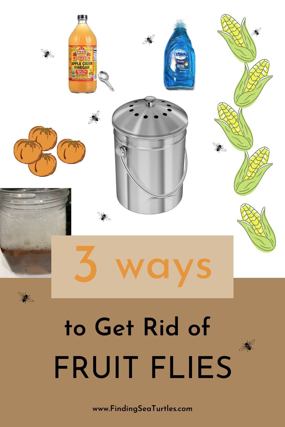 How to Get Rid of Fruit Flies