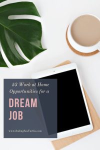 53 Work at Home Opportunities for a Dream Job #MakeMoney #MoneyMakingIdeas #WorkAtHome #WorkFromHome #RemoteWork #Entrepreneur #Freelance #Career #JobOpportunities #HomeBased 