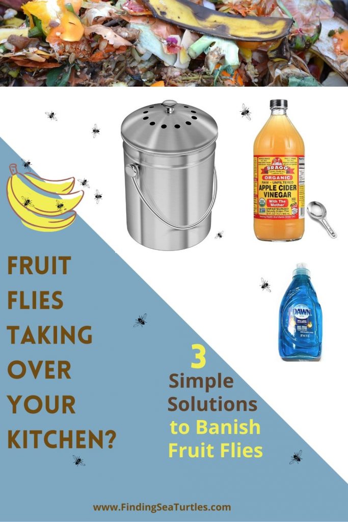 11 Effective Ways to Get Rid of Fruit Flies at Home (Natural & DIY)