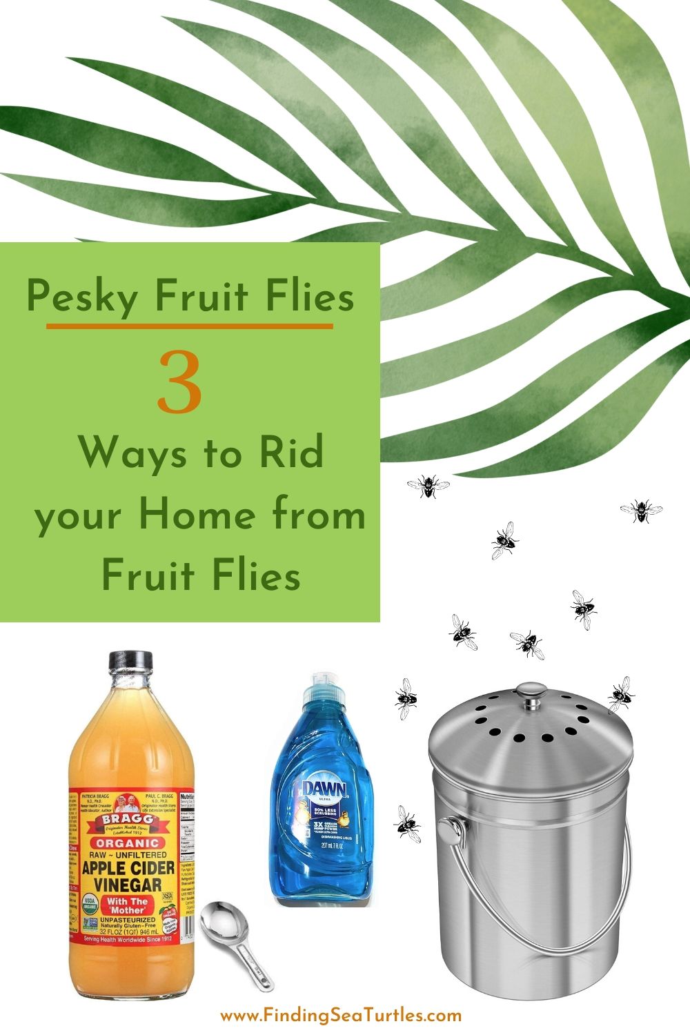 How to Get Rid of Fruit Flies