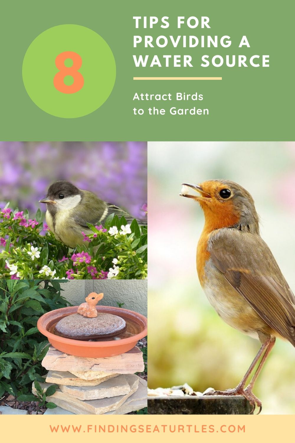 How to Provide a Reliable Water Source for Birds