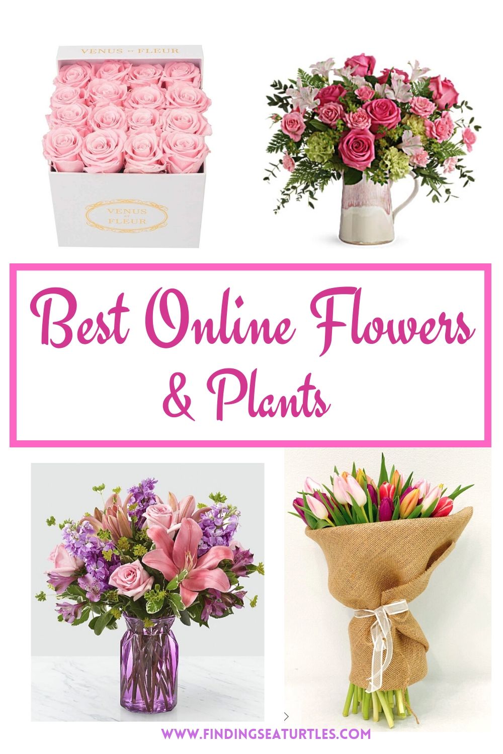 Best Online Flowers and Plants