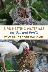 Bird Nesting Materials the Dos and Don'ts #Wildlife #NativePlants #Gardening #Birds #AttractBirds #NestingMaterials #NestBuilding #BeneficialForPollinators #GardeningForPollinators 