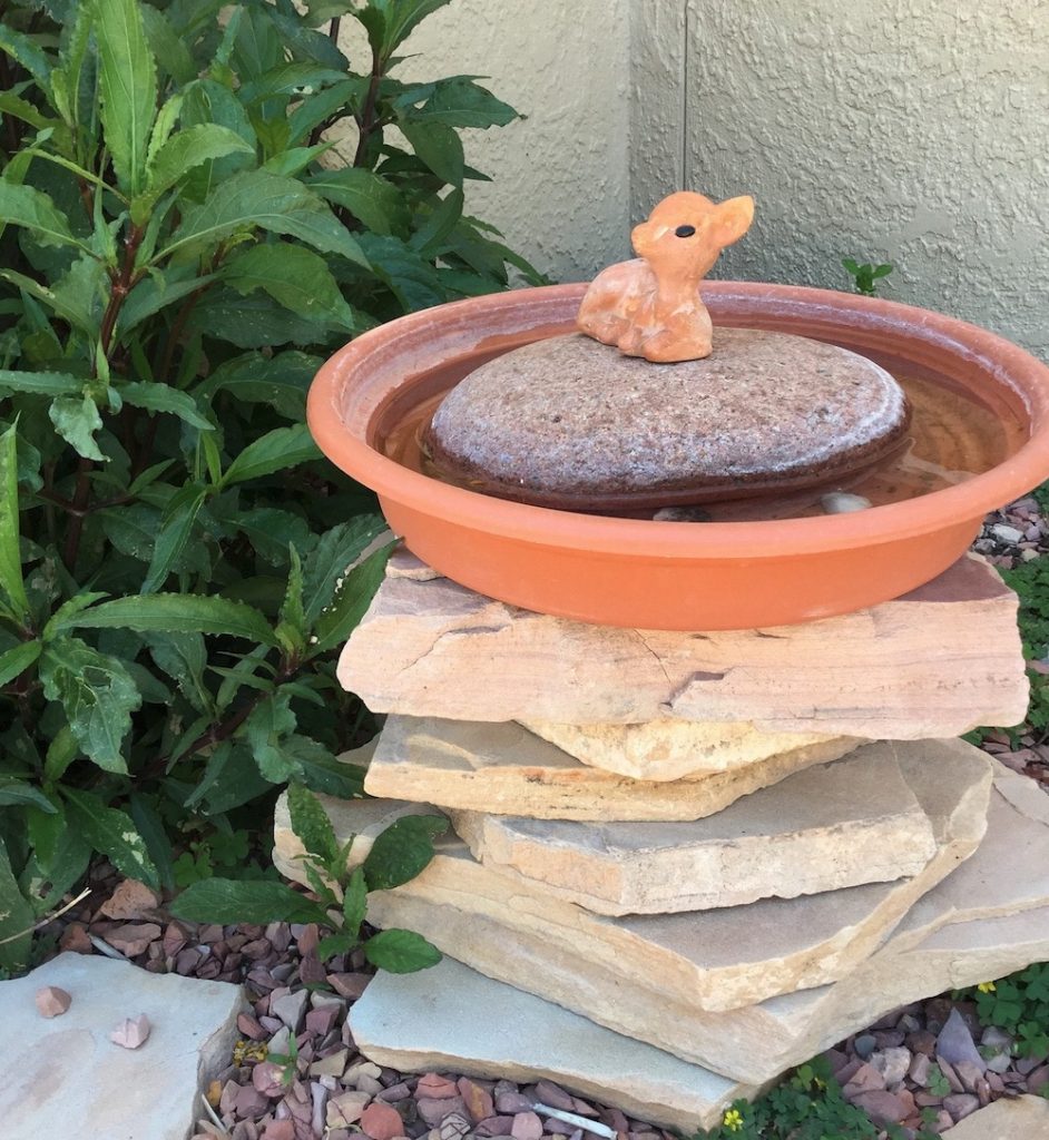 How to Provide a Reliable Water Source for Birds DIY Birdbath Using a Plant Saucer with Large Stone #Wildlife #NativePlants #Gardening #AttractBirds #WaterSourceForBirds #WaterForWildlife #BeneficialForPollinators #GardeningForPollinators 