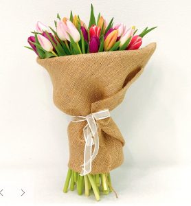 Best Online Flowers and Plants Floom - 40 MultiColor Tulip #flowers #flowerdelivery #bouquets #OnlineFlowers #FlowersOnline #MothersDay #FlowersForMom #GiveMomFlowers