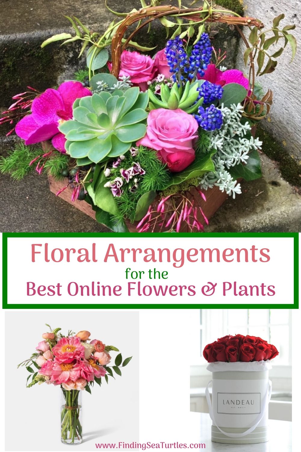 Best Online Flowers and Plants