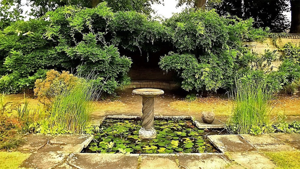 How to Provide a Reliable Water Source for Birds Garden Birdbath with nearby Shrubs for Cover #Wildlife #NativePlants #Gardening #AttractBirds #WaterSourceForBirds #WaterForWildlife #BeneficialForPollinators #GardeningForPollinators 