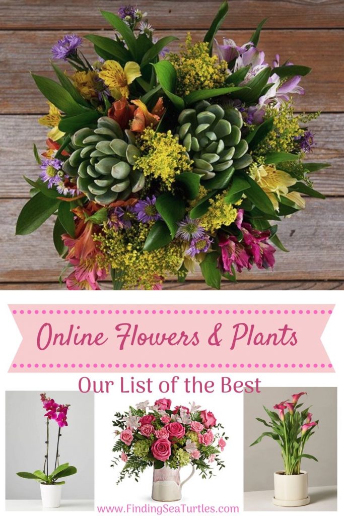Best Online Flowers and Plants