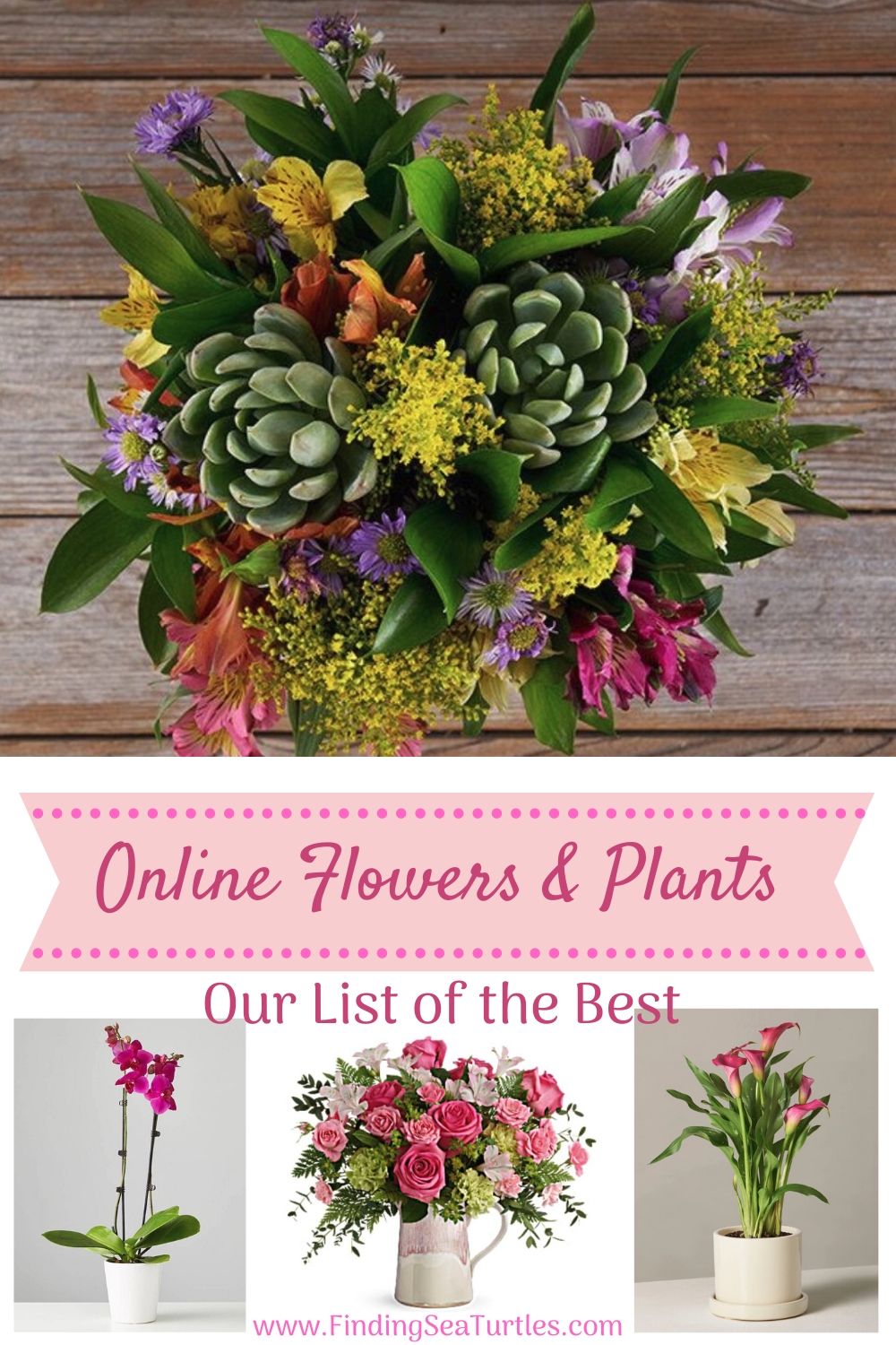 Best Online Flowers and Plants