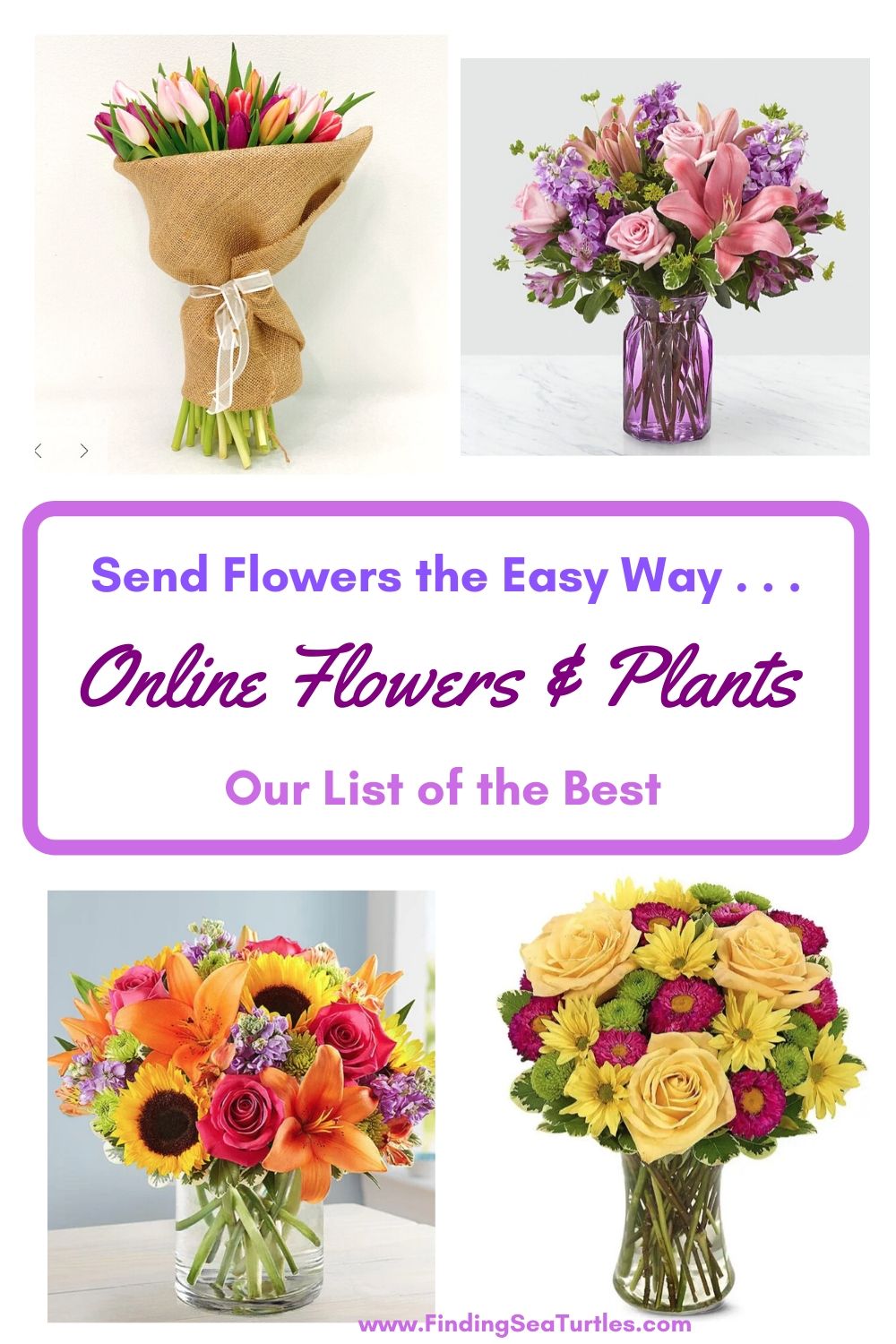 Best Online Flowers and Plants