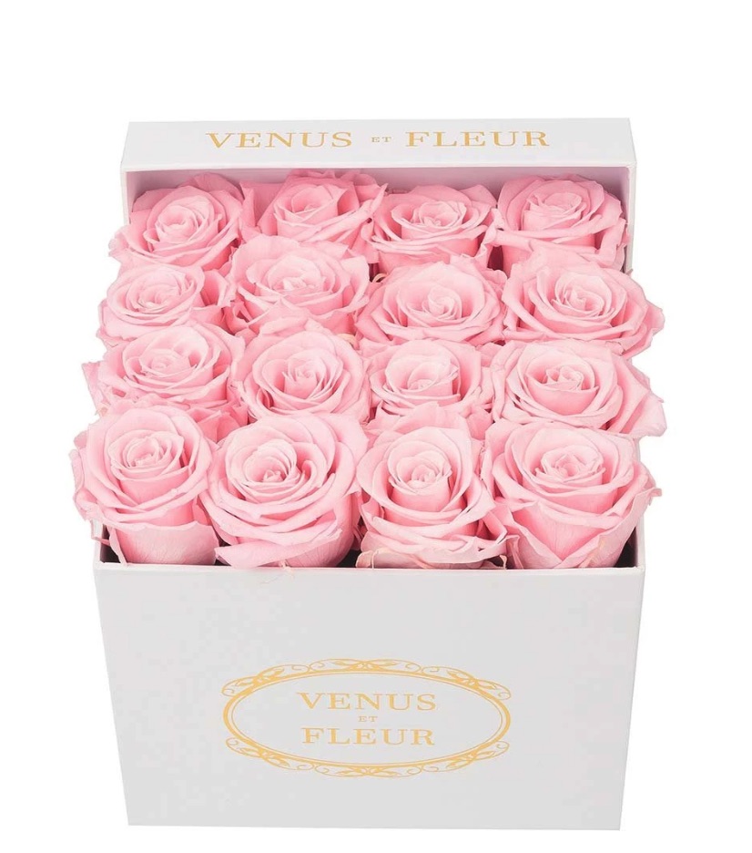 Best Online Flowers and Plants