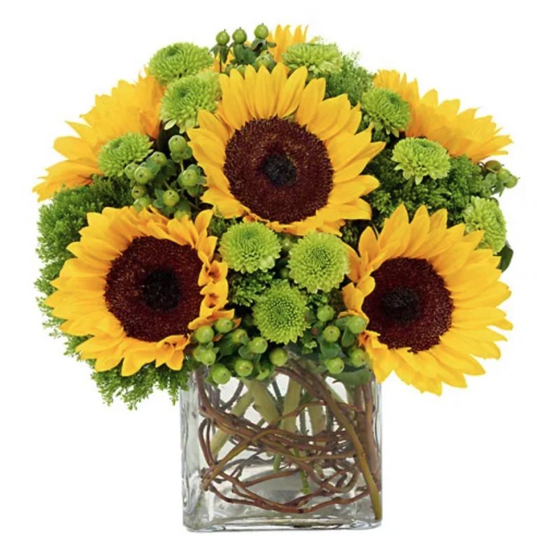 Best Online Flowers and Plants