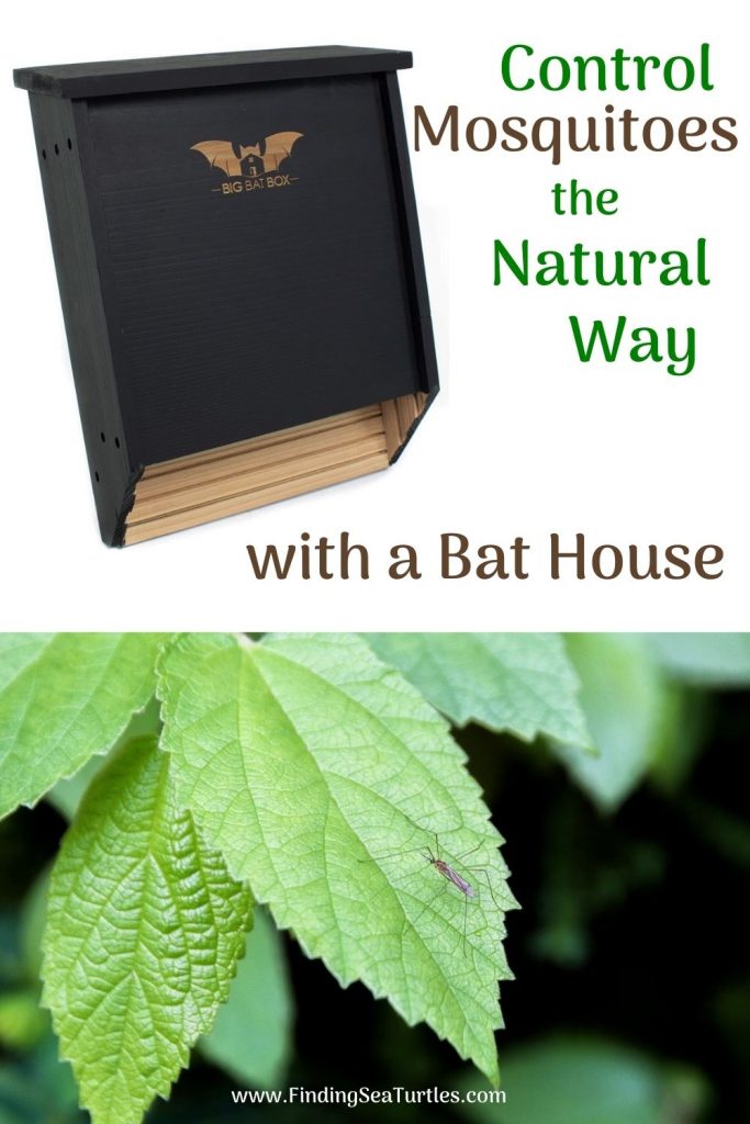 Control Mosquitoes the Natural Way with a Bat House #Bats #BenefitsofBats #InsectControl #Pollinators #Gardening #SeedDispersal #OrganicGardening