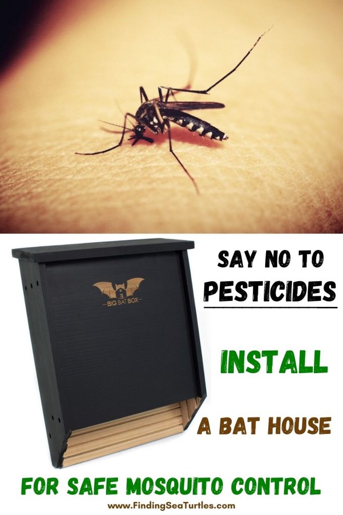 SAY NO TO PESTICIDES install a Bat House For Safe Mosquito Control #Bats #BenefitsofBats #InsectControl #Pollinators #Gardening #SeedDispersal #OrganicGardening