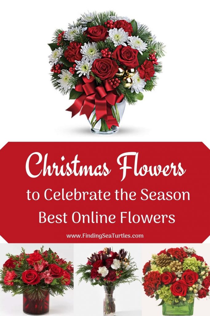 Christmas Flowers to Celebrate the Season Best Online Flowers #FreshFlowers #FlowerDelivery #bouquets #OnlineFlowers #FlowersOnline #Christmas #ChristmasFlowers #FestiveFlowers