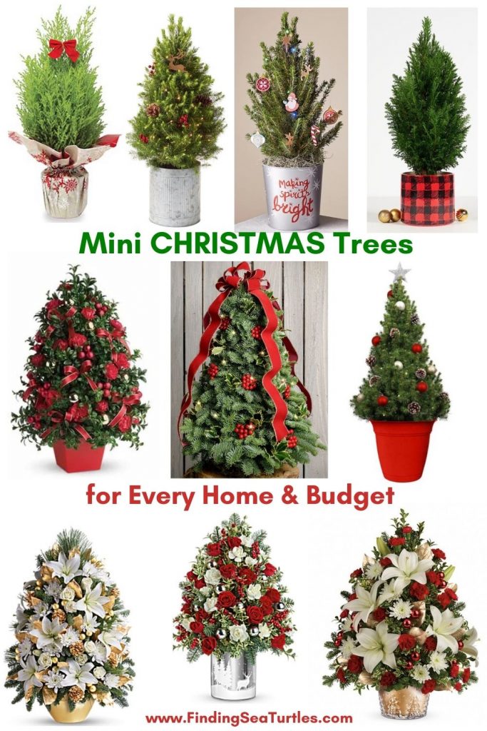 Fresh Tabletop Christmas Trees Mini Christmas Trees for Every Home and Budget #FreshMiniTree #MiniChristmasTree #TabletopChristmasTree #OnlineFlowers #ChristmasTrees #ChristmasTabletopTree 