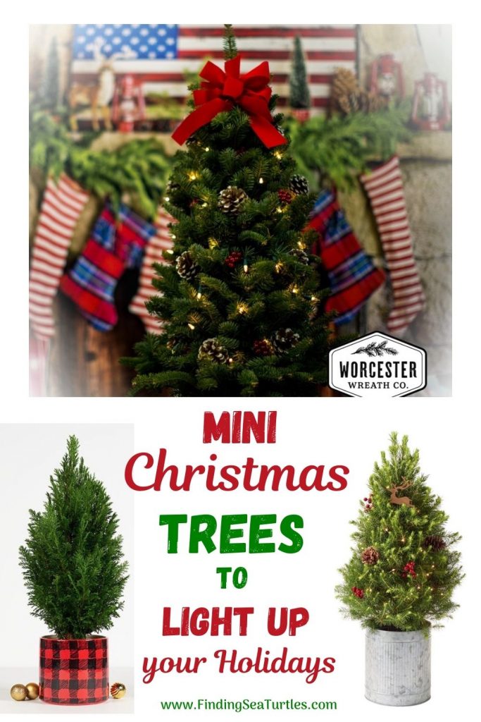 Fresh Tabletop Christmas Tree Mini Christmas Trees to Light up your Holidays #FreshMiniTree #MiniChristmasTree #TabletopChristmasTree #OnlineFlowers #ChristmasTrees #ChristmasTabletopTree 