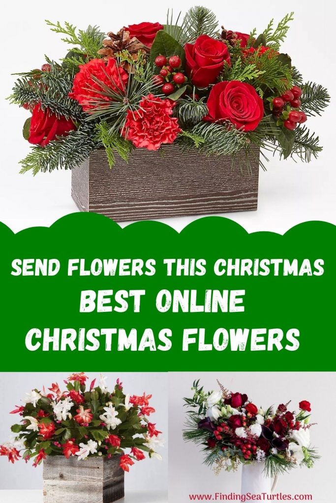 Send Flowers This Christmas Best Online Christmas Flowers #FreshFlowers #FlowerDelivery #bouquets #OnlineFlowers #FlowersOnline #Christmas #ChristmasFlowers #FestiveFlowers