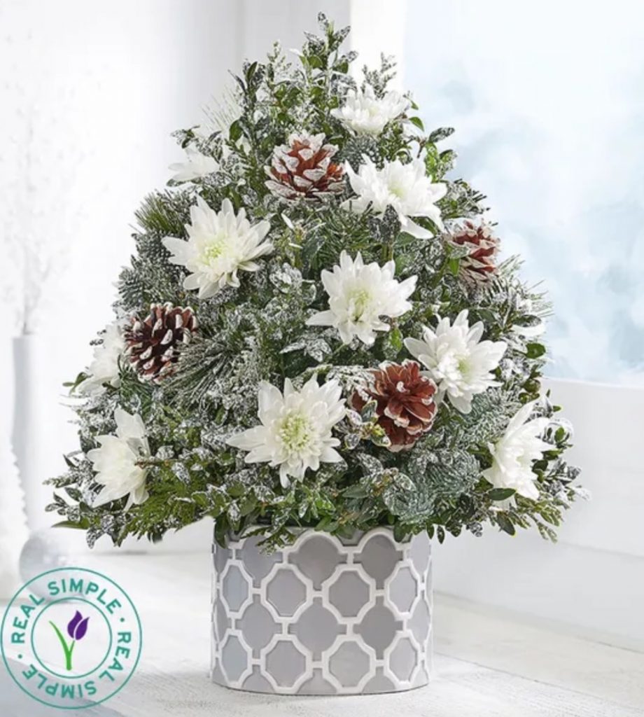 Fresh Tabletop Christmas Trees Winter's Snowfall Holiday Flower Tree by Real Simple by 1800Flowers #FreshMiniTree #MiniChristmasTree #TabletopChristmasTree #OnlineFlowers #ChristmasTrees #ChristmasTabletopTree 