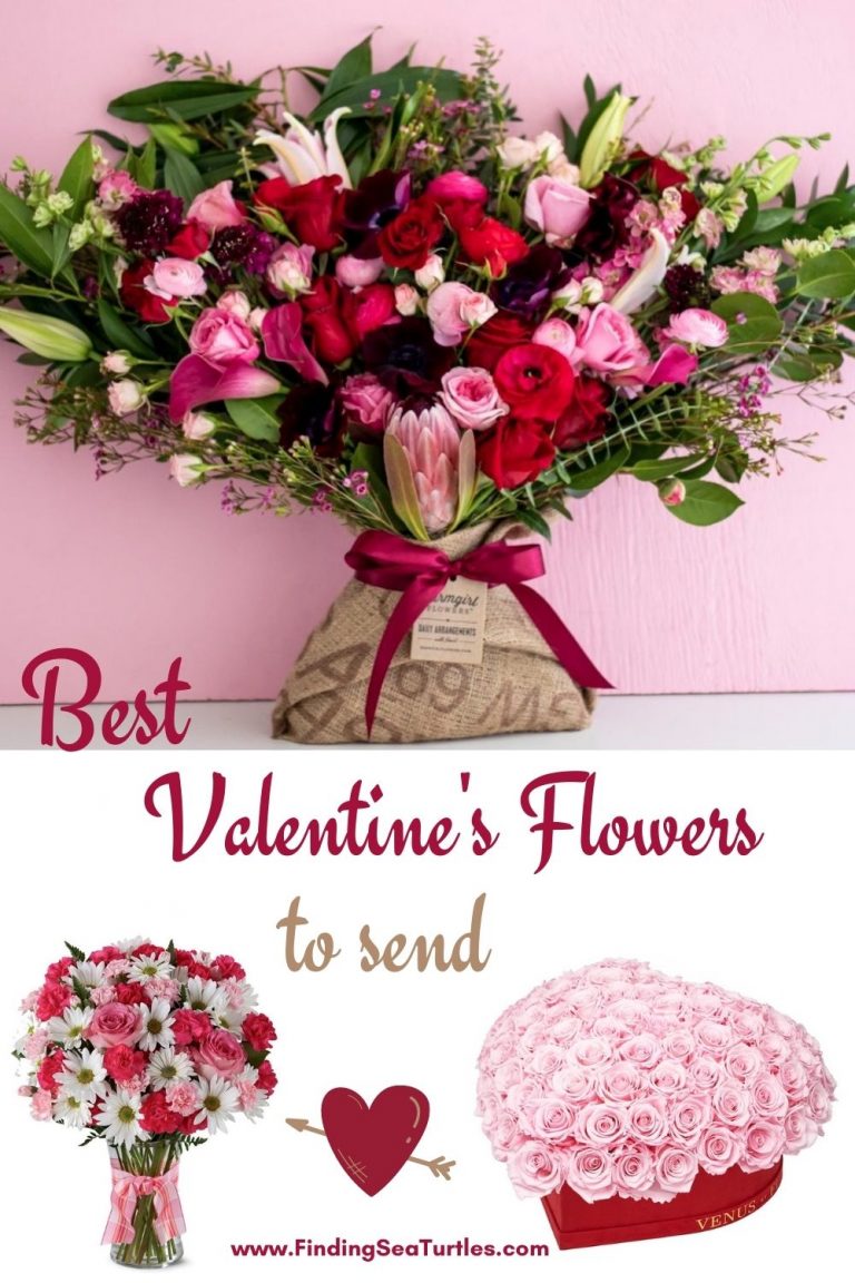 Best Valentine’s Flowers and Plants